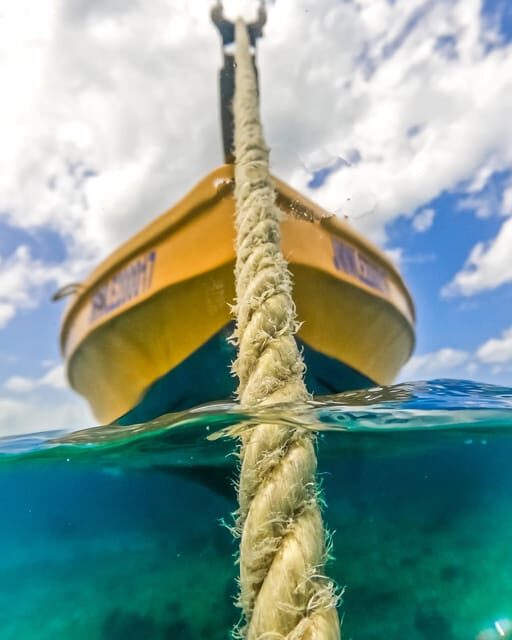 Snorkeling in Montego Bay with Transportation - Who Should Consider This Tour?