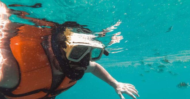 Snorkeling in Negombo - Peak Season for Snorkeling