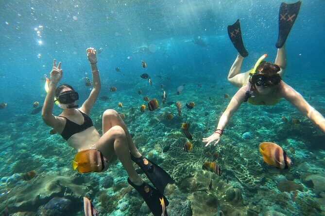 Snorkeling In Nusa Penida Island With Manta Ray From Bali - Overview of the Snorkeling Experience