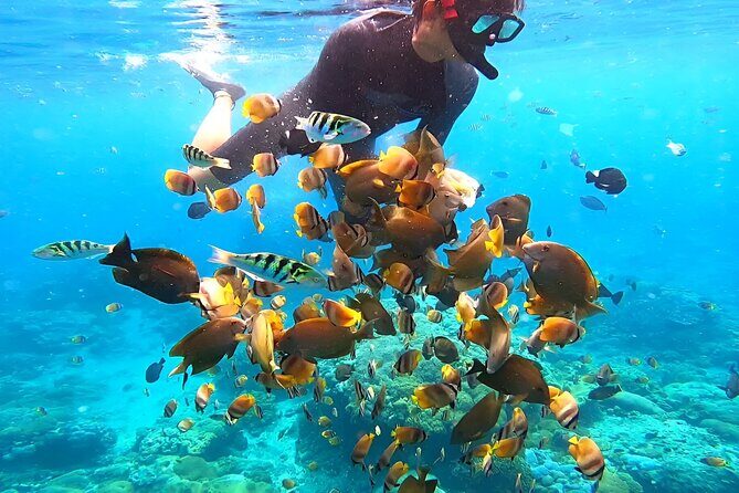 Snorkeling In Nusa Penida Island With Manta Ray From Bali - Included & Not Included