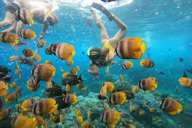 Snorkeling In Nusa Penida Island With Manta Ray From Bali - Who This Tour Is Best For