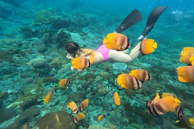 Snorkeling In Nusa Penida Island With Manta Ray From Bali - The Sum Up