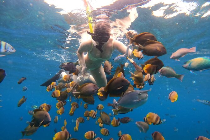 Snorkeling In Nusa Penida Island With Manta Ray From Bali - Overview of Snorkeling Experience