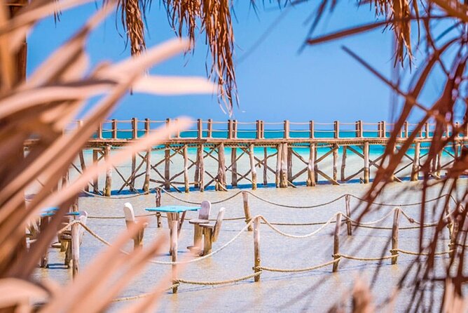 Snorkeling in Orange Bay: Book Your Adventure - Additional Services and Options