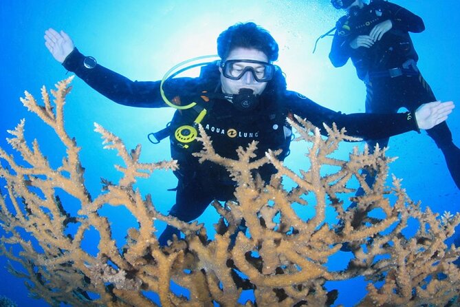 Snorkeling in Orange Bay: Book Your Adventure - Meeting and Pickup Information