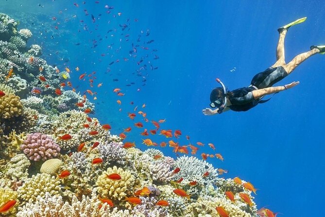 Snorkeling in Orange Bay: Book Your Adventure - Directions for an Unforgettable Experience