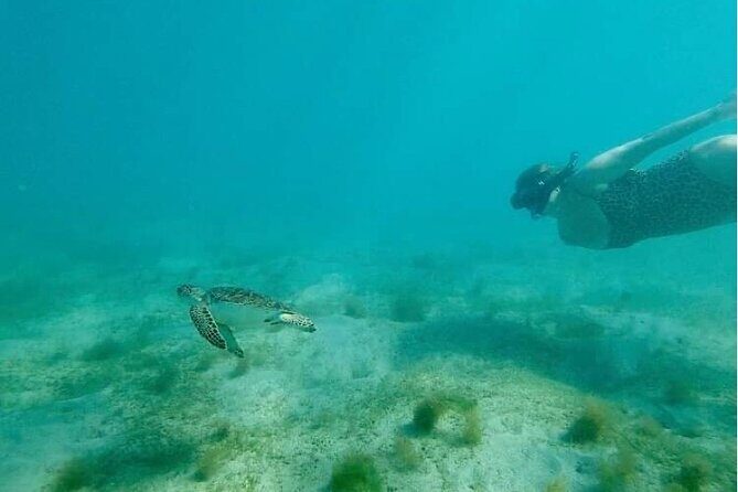 Snorkeling in Paradise - Videos Included - Practical Details & Tips