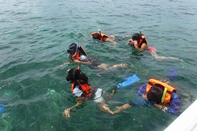 Snorkeling in Puerto Morelos With a Certified Guide! - Additional Information and Pricing