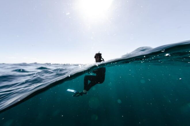 Snorkeling in San Jose Del Cabo - Included in the Tour