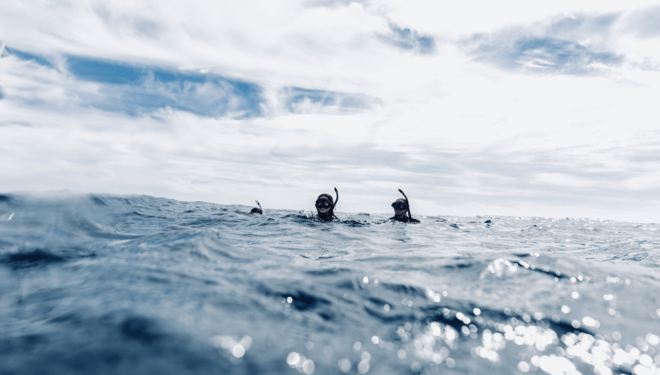 Snorkeling in San Jose Del Cabo - Participant Requirements
