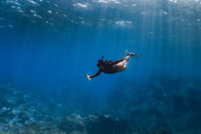 Snorkeling in San Jose del Cabo - The Eco-Friendly Approach