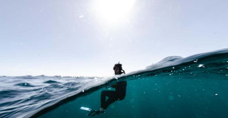 Snorkeling in San Jose Del Cabo - Good To Know