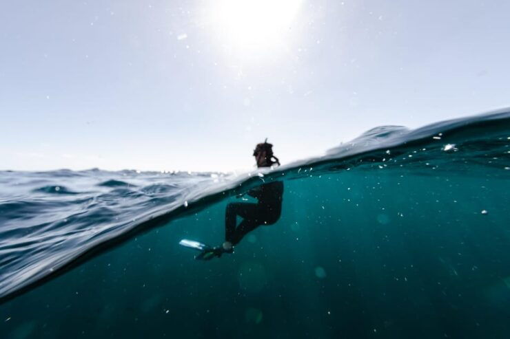 Snorkeling in San Jose Del Cabo - Experience and Itinerary