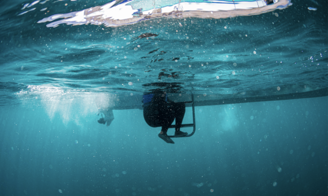 Snorkeling in San Jose Del Cabo - Frequently Asked Questions