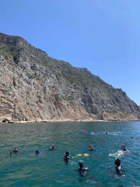 Snorkeling in Sesimbra - Activity Details