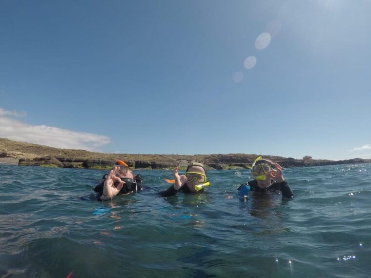 Snorkeling in Tenerife South: Discover the Underwater World - Small Group Snorkeling Experience