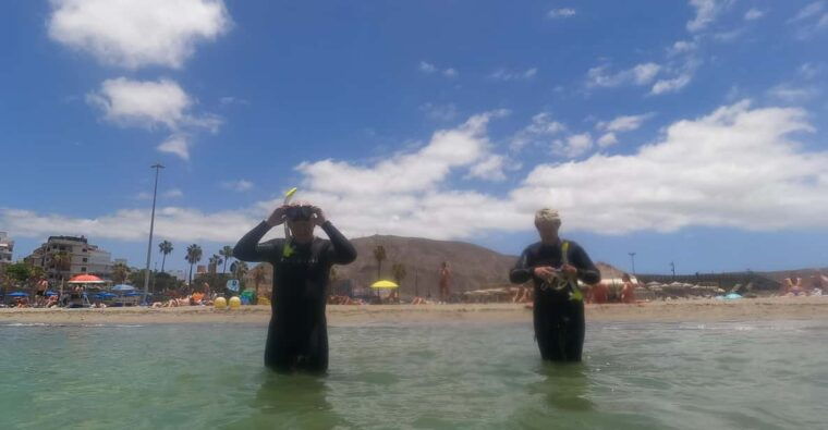 Snorkeling in Tenerife South: Discover the Underwater World - Snorkeling Equipment and Inclusions