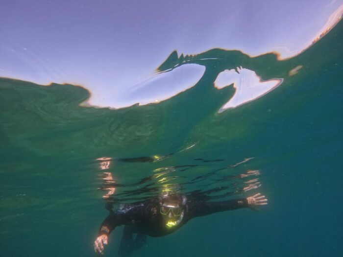Snorkeling in Tenerife South: Discover the Underwater World - Frequently Asked Questions