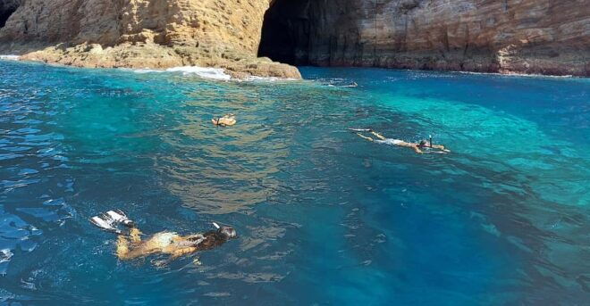 Snorkeling in Terceira Island - Customer Reviews