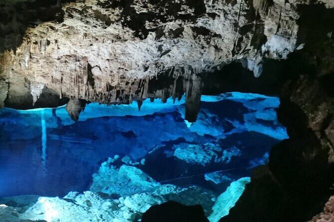 Snorkeling in the Cenotes of Bayahibe - An Introduction to the Experience
