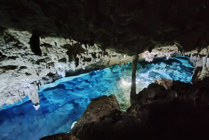 Snorkeling in the Cenotes of Bayahibe - Snorkeling Equipment Provided