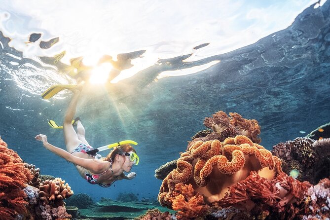 Snorkeling in Trincomalee - Good To Know