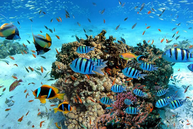 Snorkeling in Trincomalee - Location Details