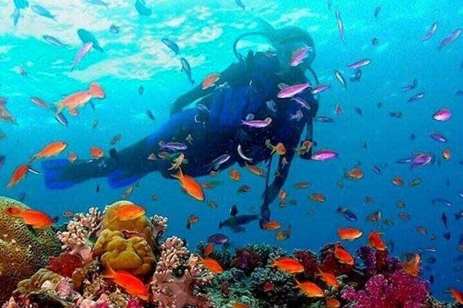 Snorkeling in Trincomalee - Duration and Schedule