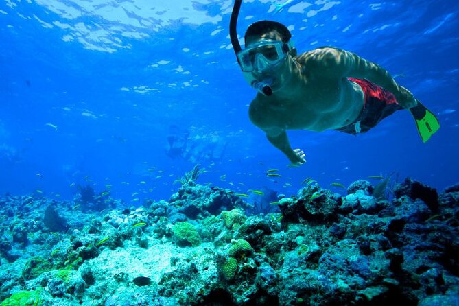Snorkeling in Trincomalee - Inclusions Provided