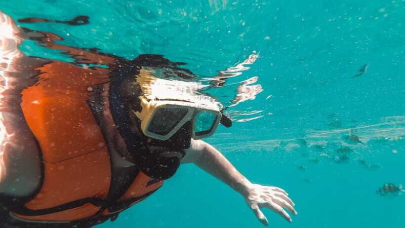 Snorkeling in Unawatuna - Who Will Love This Tour?