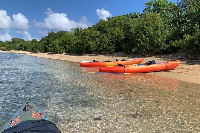 Snorkeling & Kayak Eco-Adventure in Puerto Rico - Exploring Puerto Rico’s Cabezas de San Juan Natural Reserve