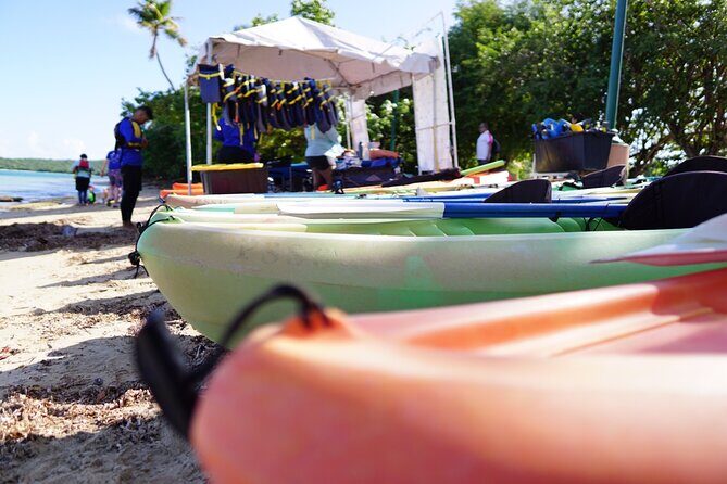 Snorkeling & Kayak Eco-Adventure in Puerto Rico - The Sum Up