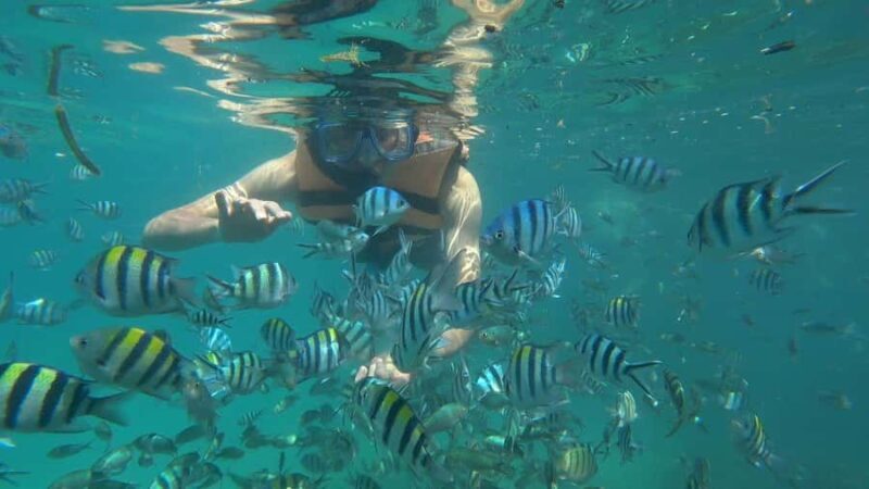 Snorkeling Kayaking Fishing Swimming Activities - Introduction