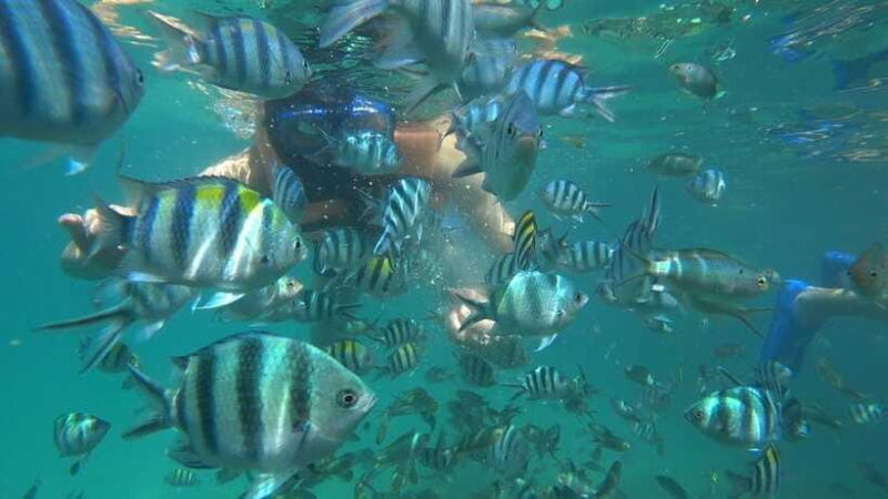 Snorkeling Kayaking Fishing Swimming Activities - Authentic Insights from Reviewers