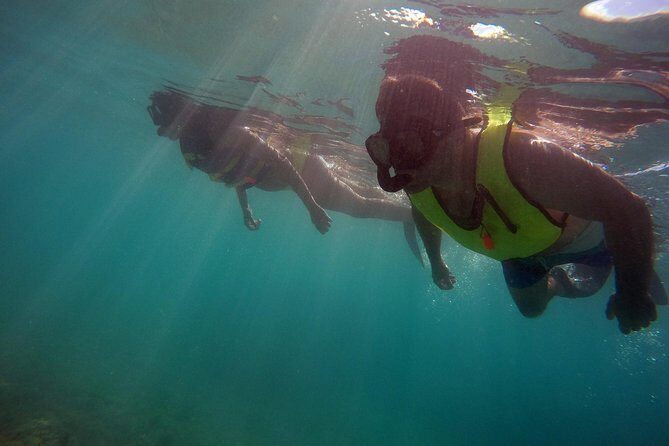 Snorkeling Lesson & Interactive Experience for Kids and Adults - Who Will Love This Tour?
