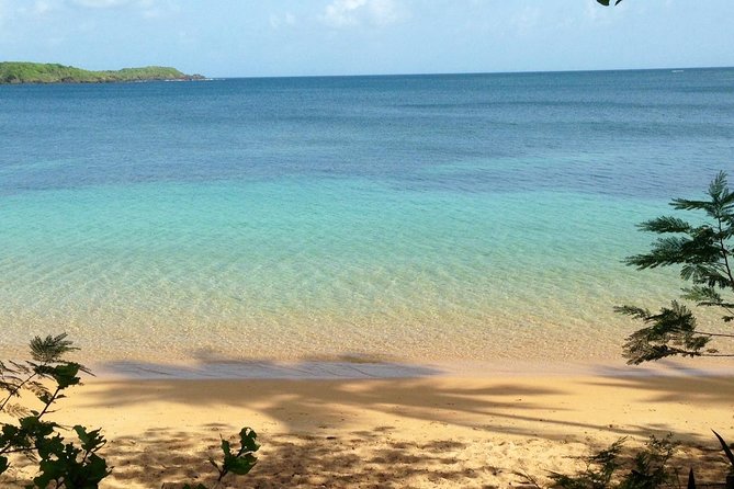 Snorkeling Lesson & Interactive Experience for Kids and Adults - Exploring the Underwater World