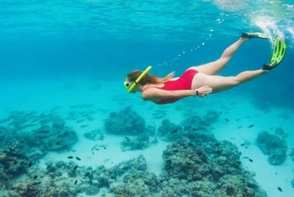Snorkeling & Lunch in Nature Reserve Garajau - Customer Reviews