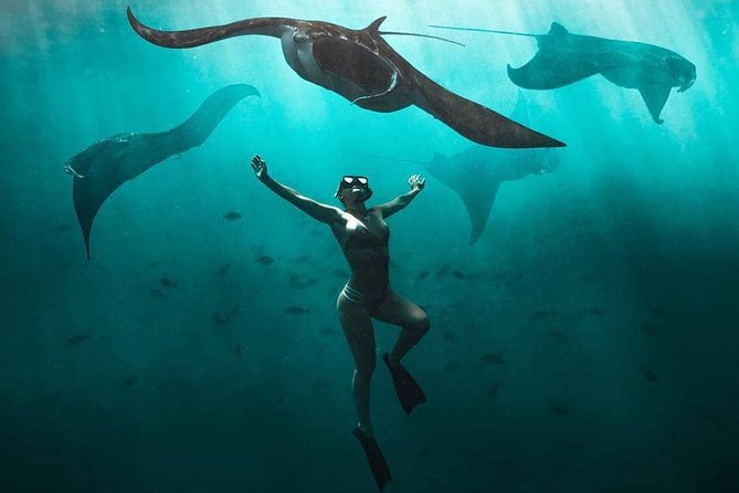 Snorkeling Manta Ray Safari in Nusa Penida - Snorkeling Safari: Exploring the Underwater World