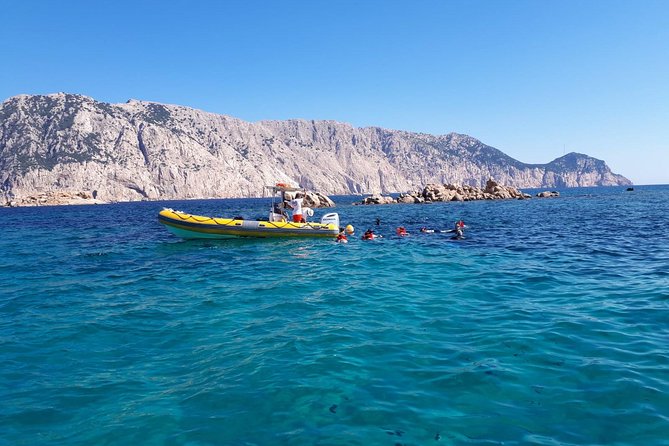 Snorkeling Marine Protected Area Tavolara - Inclusions