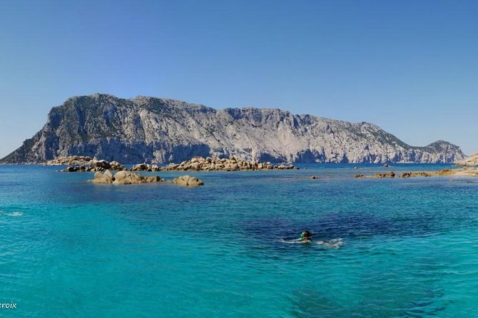 Snorkeling Marine Protected Area Tavolara - Meeting and Pickup