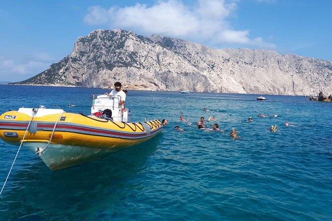 Snorkeling Marine Protected Area Tavolara - Common Questions