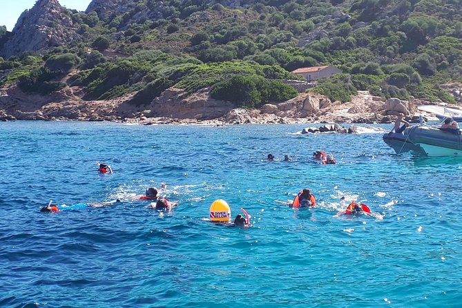 Snorkeling Marine Protected Area Tavolara - The Sum Up