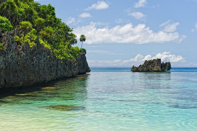 Snorkeling, Monkey & Sloth Park, West Bay Beach - Private Driver. - Tour Highlights