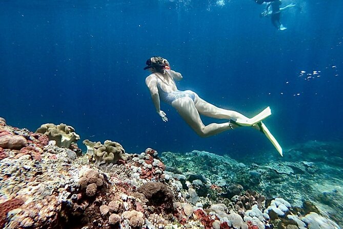 Snorkeling Nusa Lembongan - Snorkeling Trips With Manta Ray - Snorkeling Locations