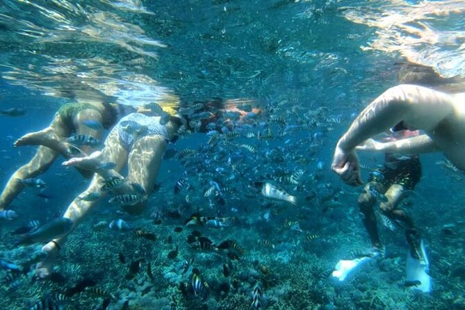 Snorkeling Nusa Lembongan - Snorkeling Trips With Manta Ray - Booking Details