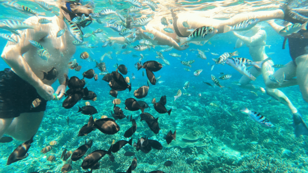 Snorkeling Nusa Penida Expedition 4 Point - Additional Activities