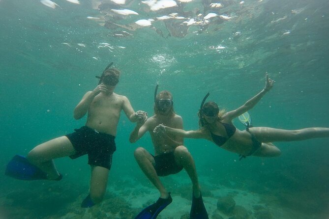 Snorkeling On Beautiful Rock Island - Unawatuna by Boat - Good To Know