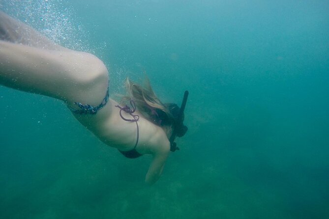 Snorkeling On Beautiful Rock Island - Unawatuna by Boat - The Sum Up