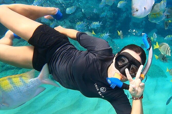 Snorkeling On Chilean Beach Transportation And Drinks Included - Good To Know