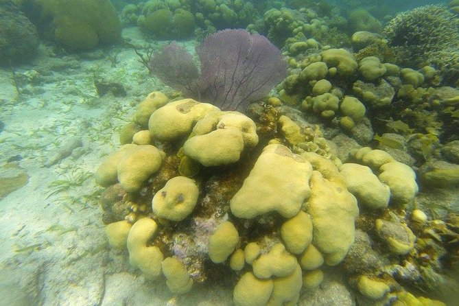 Snorkeling on the Caribbean Side of Panama - Tour Itinerary Details